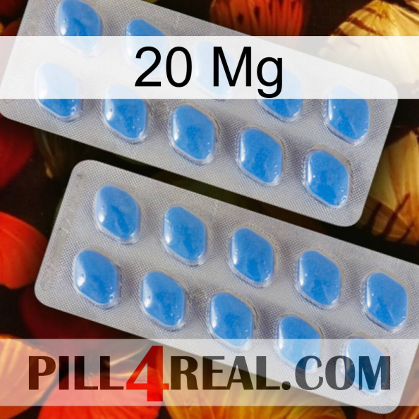 20 Mg 23.jpg